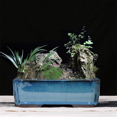 Blaue 30.3cmx21.6cmx10.5cm keramische glasig-glänzende Bonsai-Töpfe